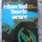 RASUCIND FUSELE ORARE-IOAN CHIRILA-89962