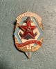 Insigna DOSAAF URSS paramilitara, Europa
