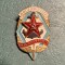 Insigna DOSAAF URSS paramilitara