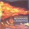REZONANTE CROMATICE-CARMEN GABRIELA GITLAN-264202