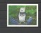 Foto  - 1