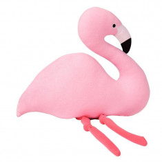 Perna Flamingo foto