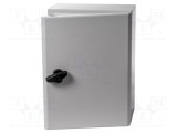 Carcasă montare pe perete SCHNEIDER ELECTRIC 300mm x 400mm x 150mm oţel IP66
