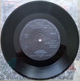 Disc Vinil Pro Musica- Timișoara (7")FRW-Records, Multiimpress Co. Timișoara-500.005