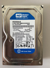 HDD Western Digital - 250 GB foto