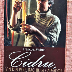 Cidru, vin din pere, rachiu si calvados. Editura M.A.S.T. 2012 - Francois Moinel