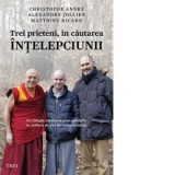 Trei prieteni, in cautarea intelepciunii. Un calugar, un filosof si un psihiatru ne vorbesc despre lucrurile esentiale - Christophe Andre, Matthieu Ri