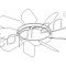 Elice ventilator racire motor MERCEDES E-CLASS Combi (S210) (1996 - 2003) TOPRAN 400 999