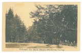 4880 - SLANIC MOLDOVA, Bacau, Park &amp; The TENNIS Court, Romania - old postcard - unused