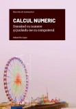 Calcul numeric. Dansand cu numere si jucandu-ne cu computerul