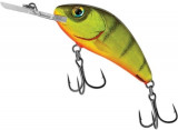 Vobler Salmo Rattlin Hornet H5.5, culoare HP, 5.5cm, 10g