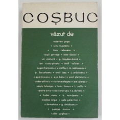 COSBUC VAZUT DE CONTEMPORANI , editie alcatuita de AL. HUSAR si GEORGETA DULGHERU , 1966