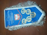 FANION CLUB SPORTIV POLONIA INTERESANT
