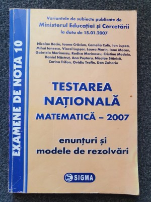 TESTAREA NATIONALA MATEMATICA 2007 - Baciu, Craciun foto