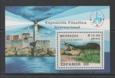 Nicaragua 1985 - Crocodil, far, Espamer, colita neuzata