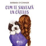 Cum te salveaza un catelus - Barbara O&rsquo;Connor