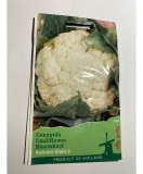 Seminte Conopida Autumn Giant Herfstreusen 0,5 g., Oem
