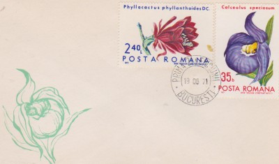 FDC FLORI DIN GRADINI BOTANICE foto
