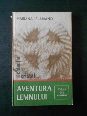 MARIANA FLAMAND - AVENTURA LEMNULUI foto