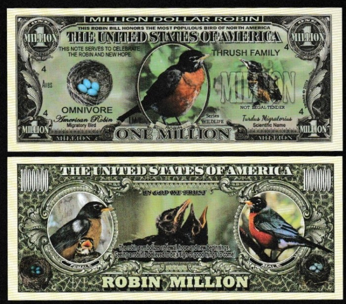 !!! SUA = FANTASY NOTE = AMERICAN ROBIN BIRD - 2023 - UNC / SERIA WILDLIFE