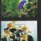ST VINCENT 1998 FAUNA PASARI