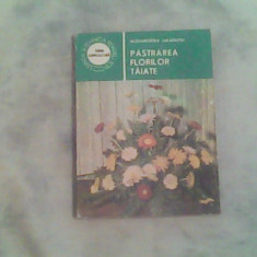 Pastrarea florilor taiate-Dr.Ing.Alexandrina Amariutei