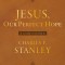 Jesus, Our Perfect Hope: 365 Devotions