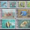 DB1 Fauna Pesti 1967 Tanzania 16 v. MNH