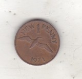 bnk mnd Guernsey 1 penny 1971 , fauna