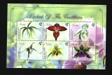 nevis mnh
