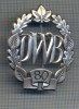AX 226 INSIGNA -TURISM MONTAN - DRUMETIE - ,,DWB&quot; 80 -FRUMOASA