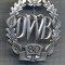 AX 226 INSIGNA -TURISM MONTAN - DRUMETIE - ,,DWB&quot; 80 -FRUMOASA