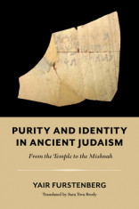 Purity and Identity in Ancient Judaism: From the Temple to the Mishnah foto