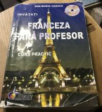 Carte 1114 Franceza fara profesor