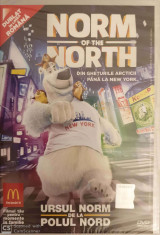 DVD Ursul Norm de la Polul Nord foto