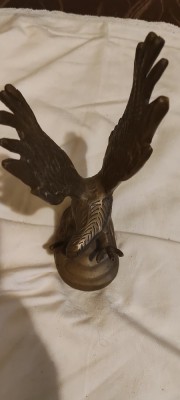 Uliu vultur bronz foto