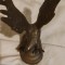 Uliu vultur bronz