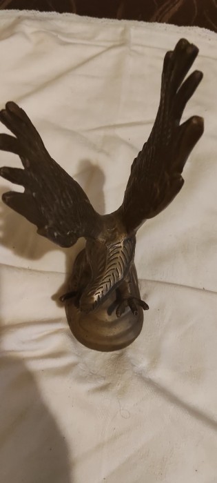 Uliu vultur bronz