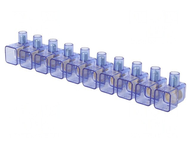 Regletă de Conexiuni cu Șurub 10mm2 450V 10 Piste