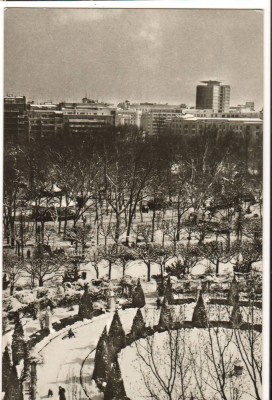 CPIB 15864 CARTE POSTALA - BUCURESTI. IARNA IN GRADINA CISMIGIU foto