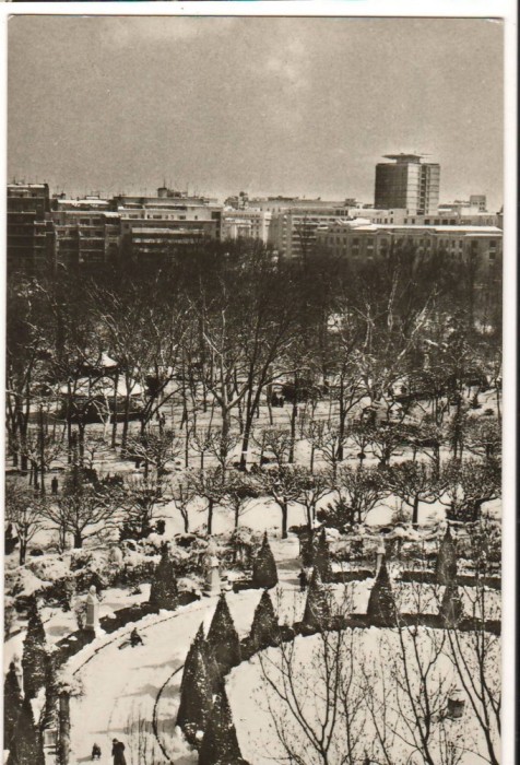 CPIB 15864 CARTE POSTALA - BUCURESTI. IARNA IN GRADINA CISMIGIU