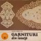 GARNITURI DIN LASETA-VIORICA ZIDARU POPA-233118