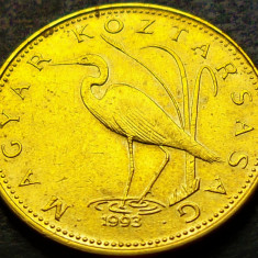 Moneda 5 FORINTI / FORINT - UNGARIA, anul 1993 * cod 4033 A
