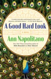 A Good Hard Look: A Novel of Flannery O&#039;Connor