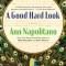 A Good Hard Look: A Novel of Flannery O&#039;Connor