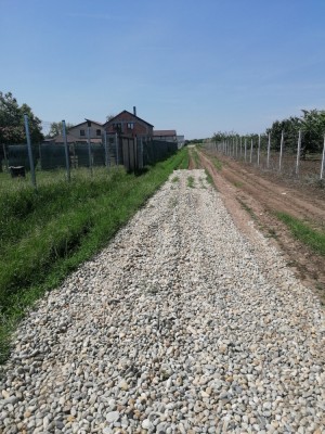 Teren intravilan &amp;icirc;n Postavari Frumusani foto