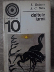 DELTELE LUMII - L. RUDESCU, A. C. BANU foto