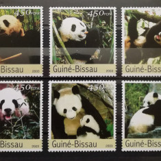 BC164, Guinea-Bissau 2003, serie fauna, ursi panda