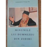 MINUNILE LUI DUMNEZEU DIN ZIDIRI-ARHIMANDRIT CLEOPA ILIE-257357