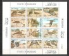 Bahrain.1990 Pasari-coala mica GY.25, Nestampilat